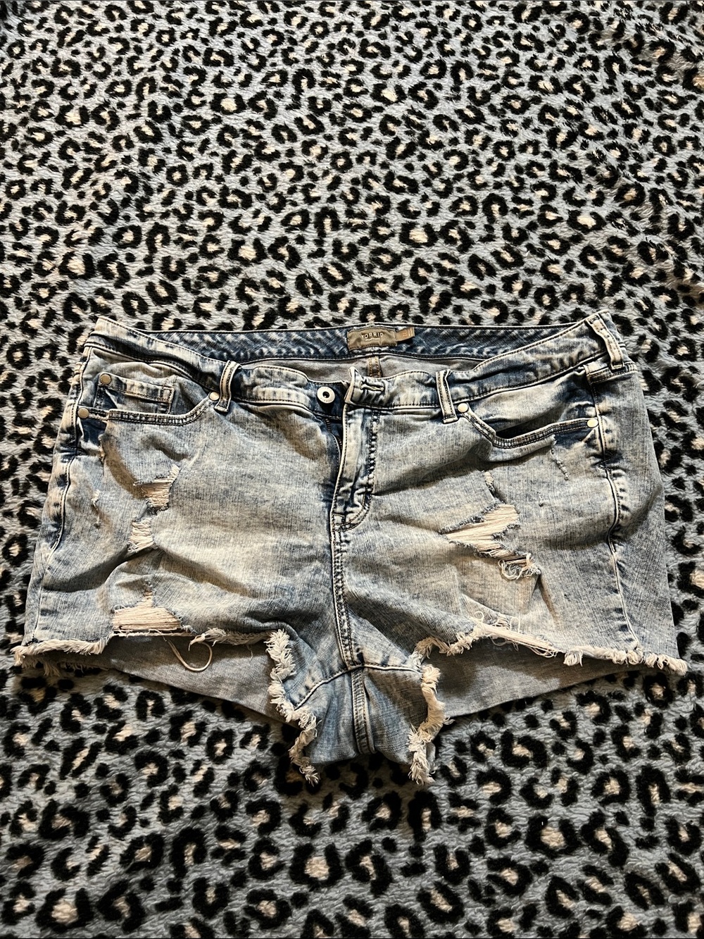 TORRID 22 LIGHT BLUE WASH DENIM SHORTS